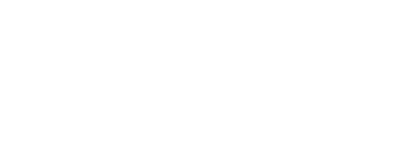 The Fit